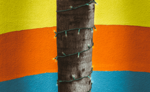 Lire la suite à propos de l’article Godfather lorem ipsum dolor sit amet.